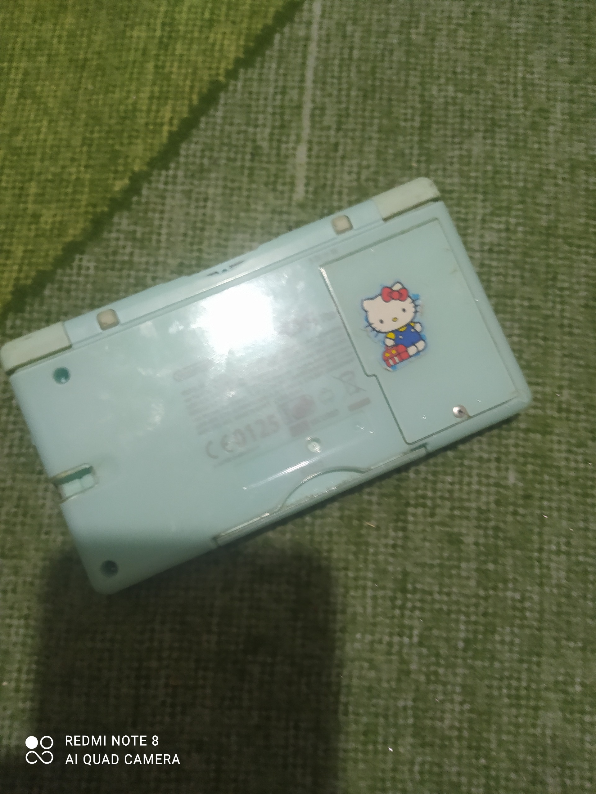 نینتندو دی اس لایت