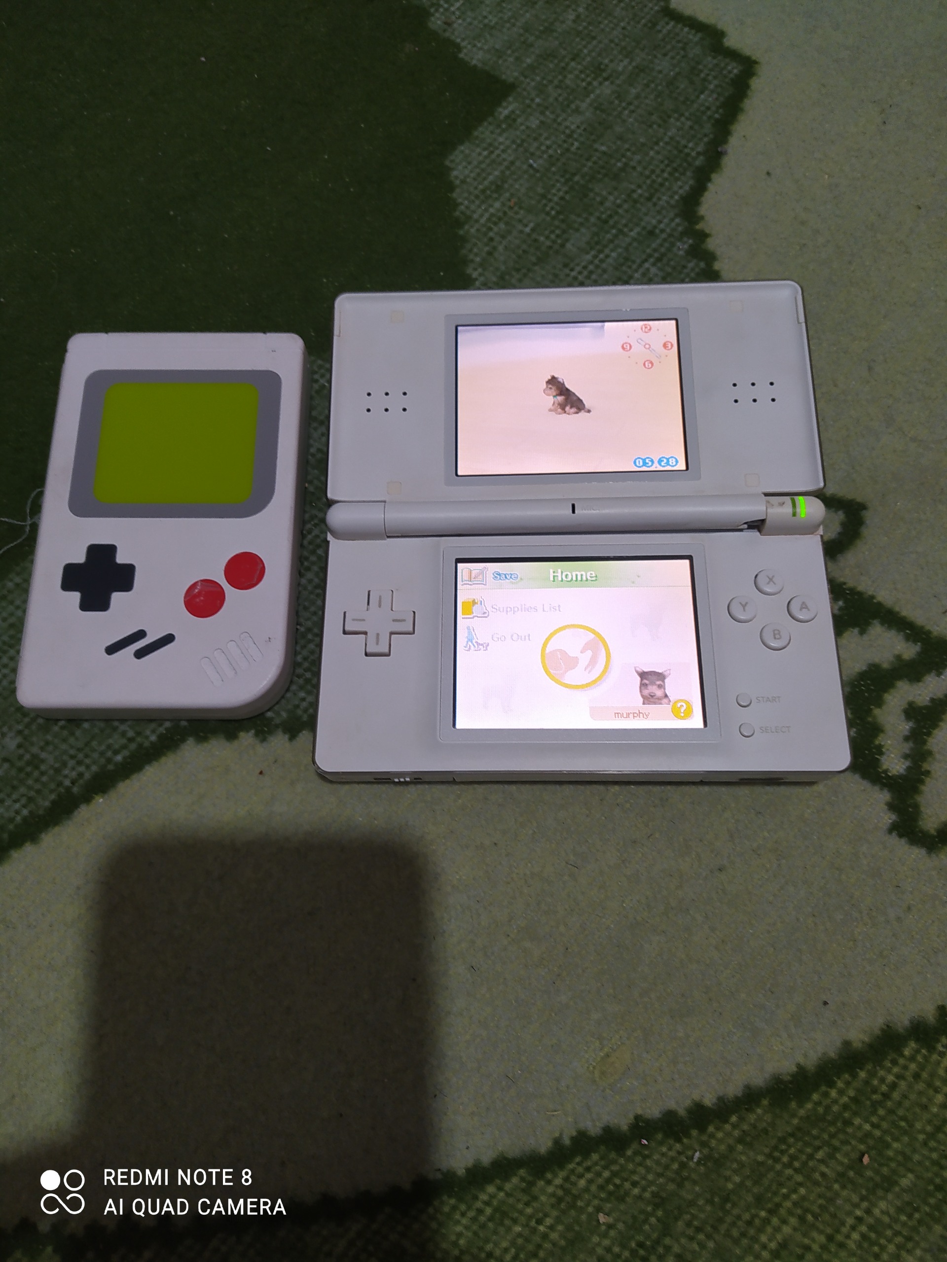 نینتندو دی اس لایت