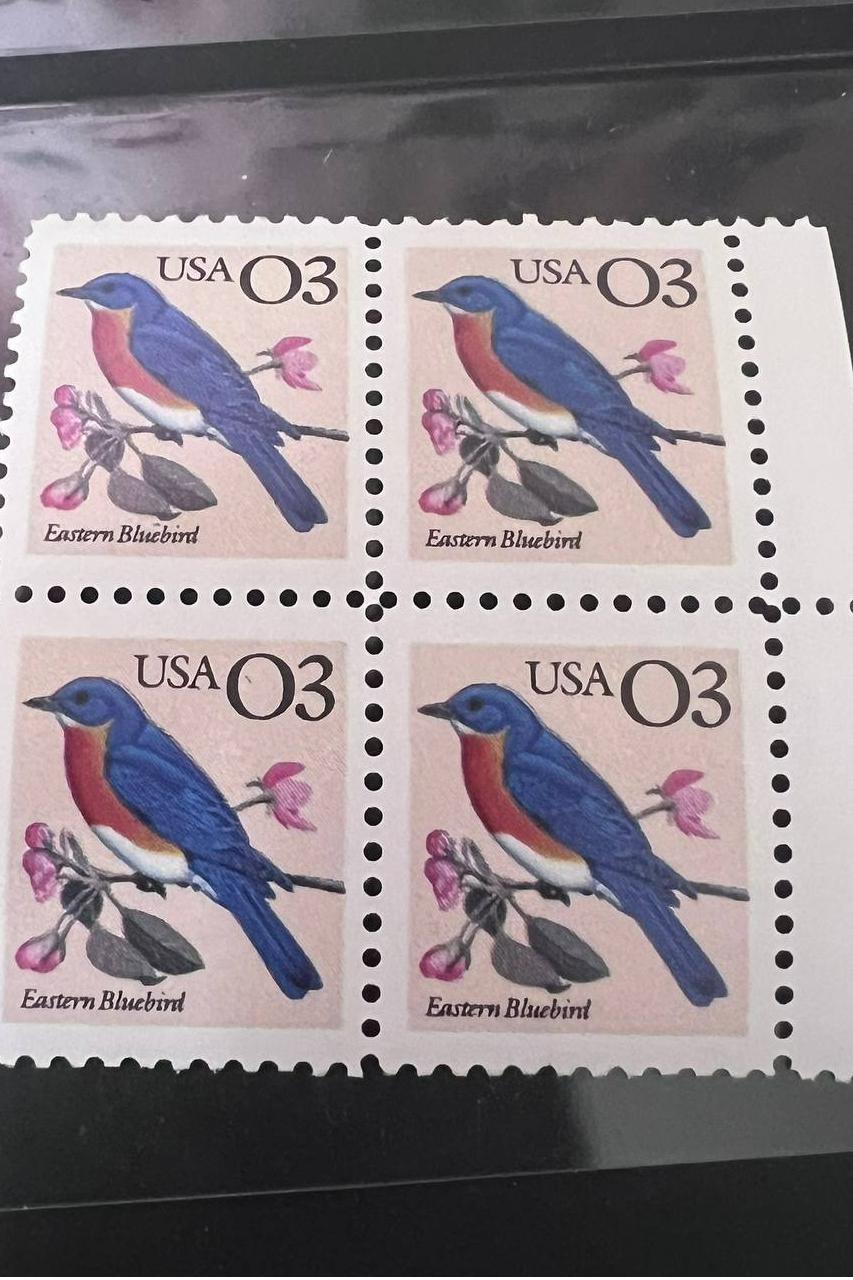 بلوک  تمبر آمریکا نایاب قدیمی مطابق تصویر6