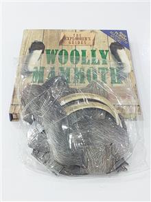 WOOLLY