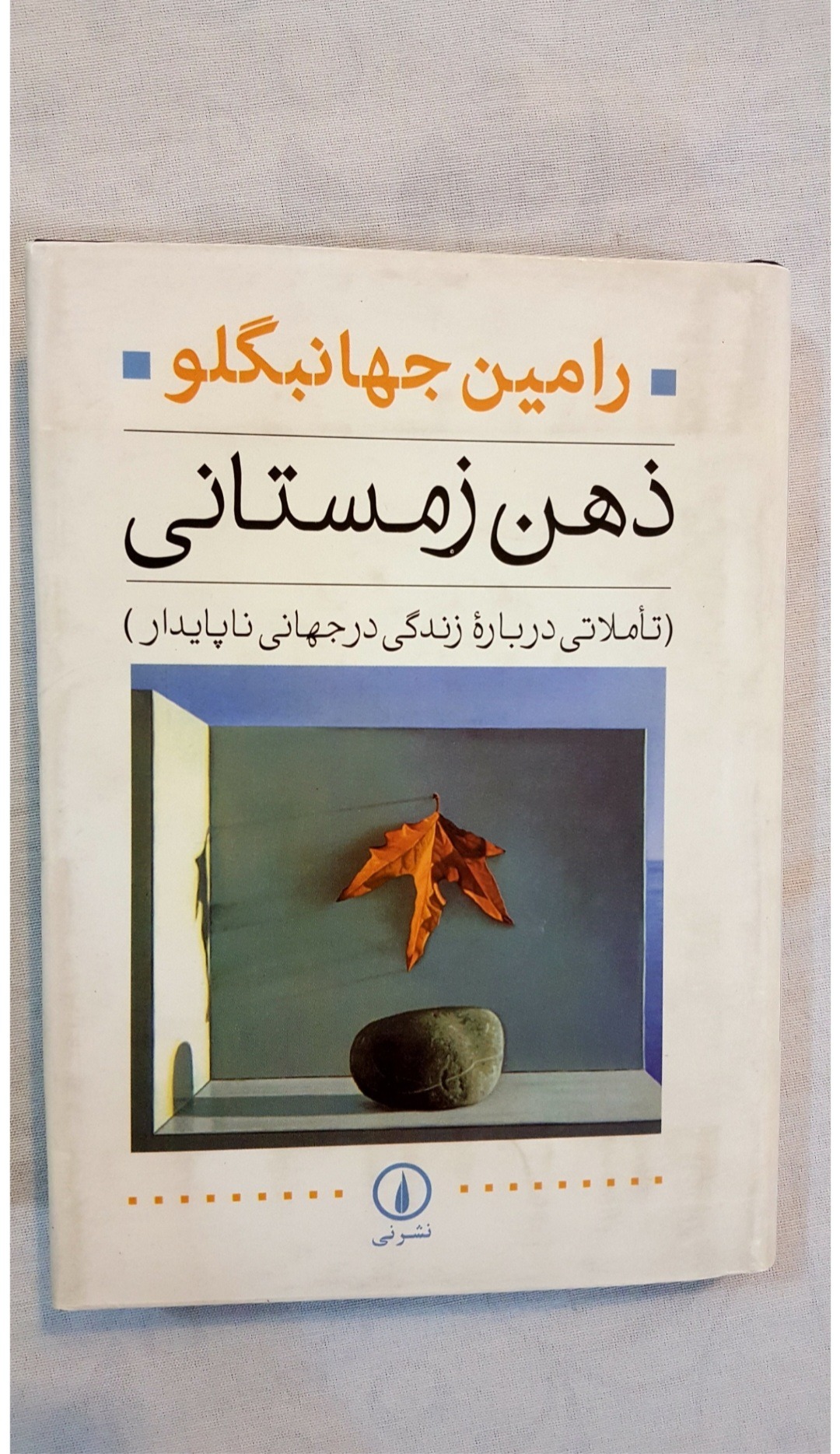 ذهن زمستانی ، اثر رامین جهانبگلو