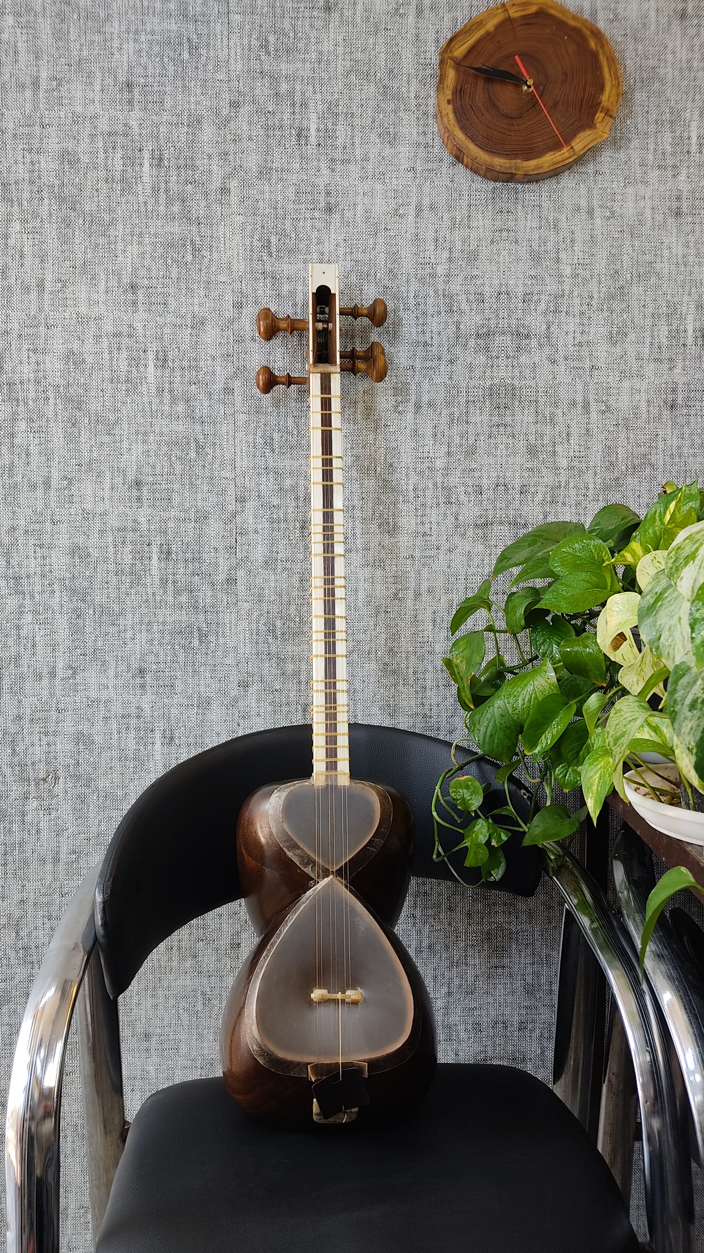 تار نیمه حرفه ای امیر