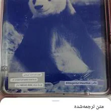 مداد