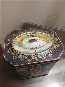 قوطی
