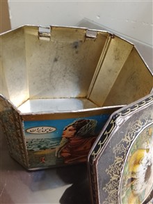 قوطی