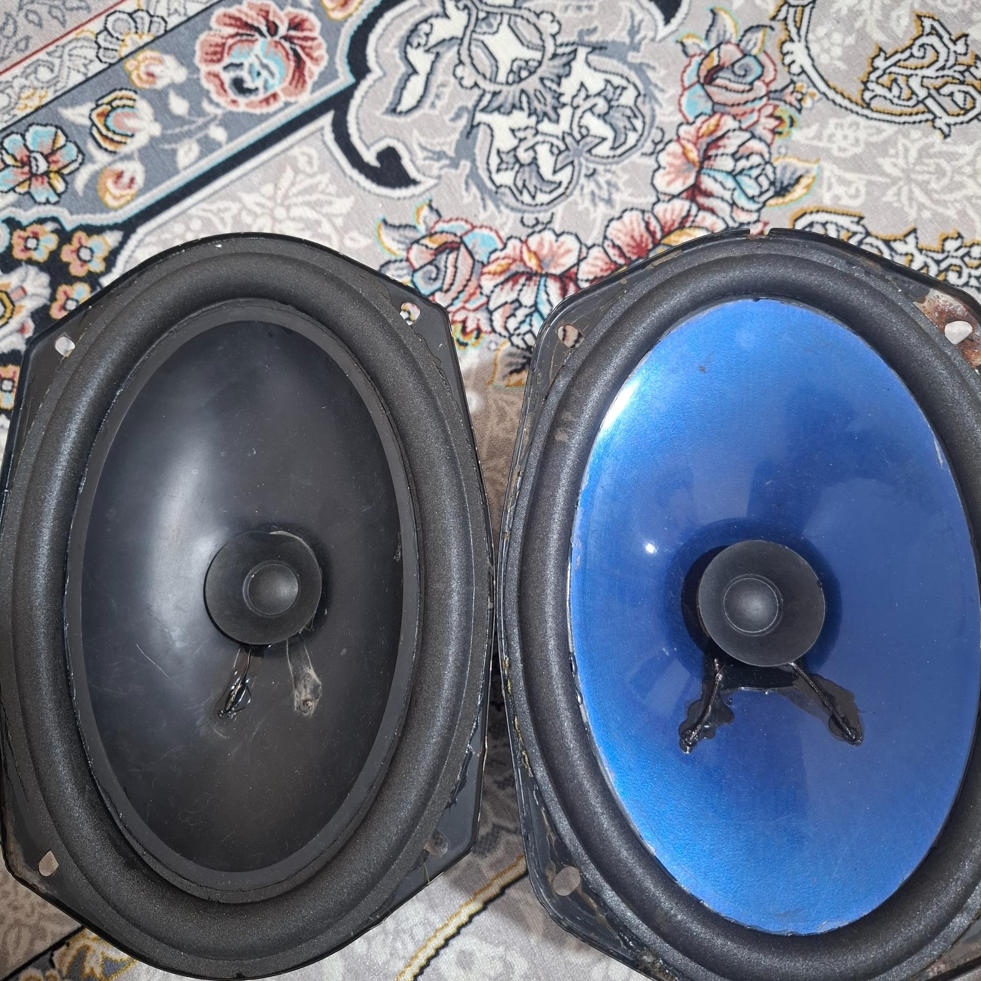 باند بیضی مارشال