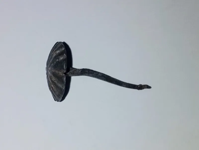 گل میخ قاجاری
