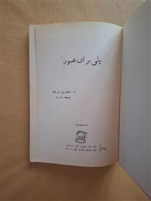 پلی