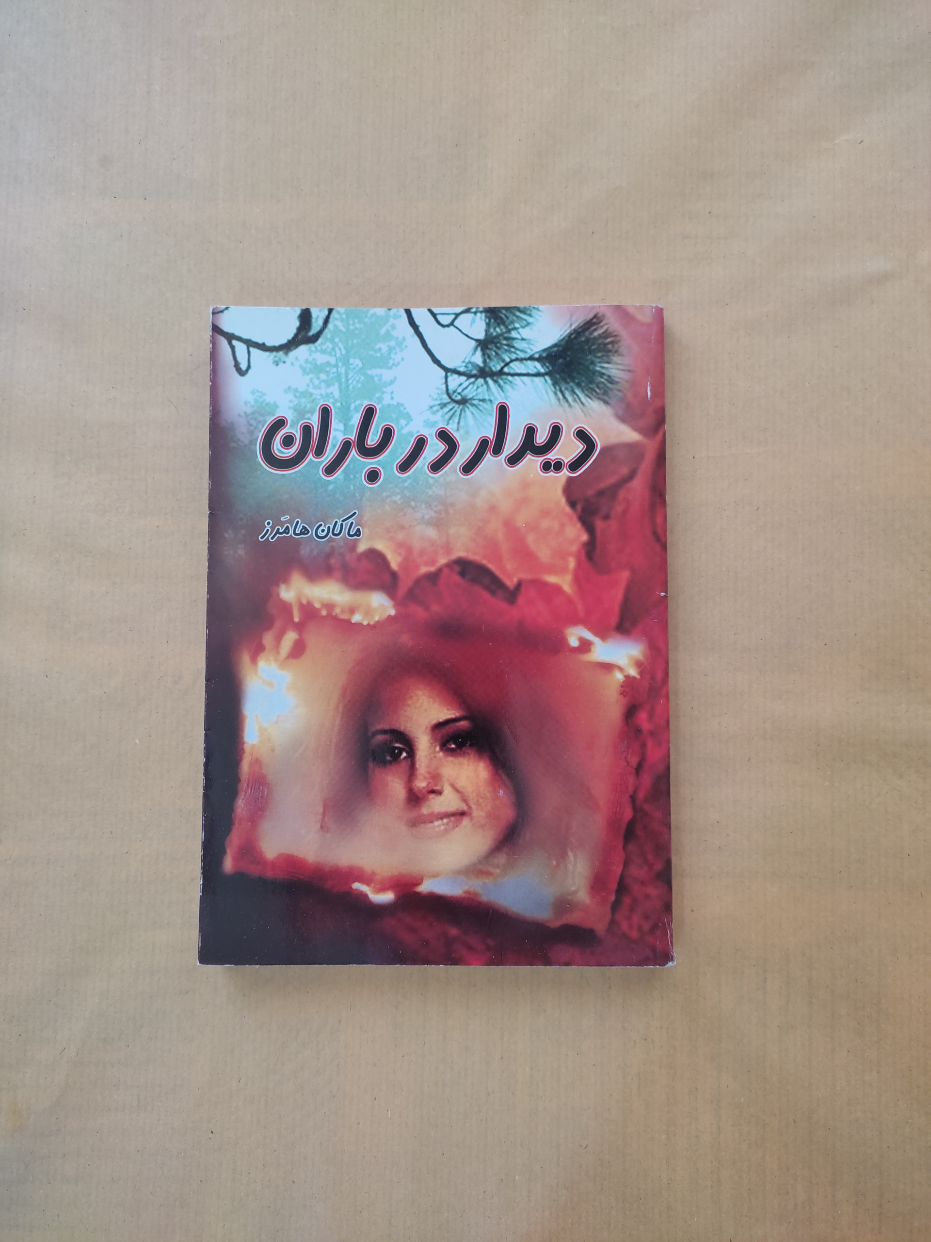 دیدار در باران ماکان هامرز