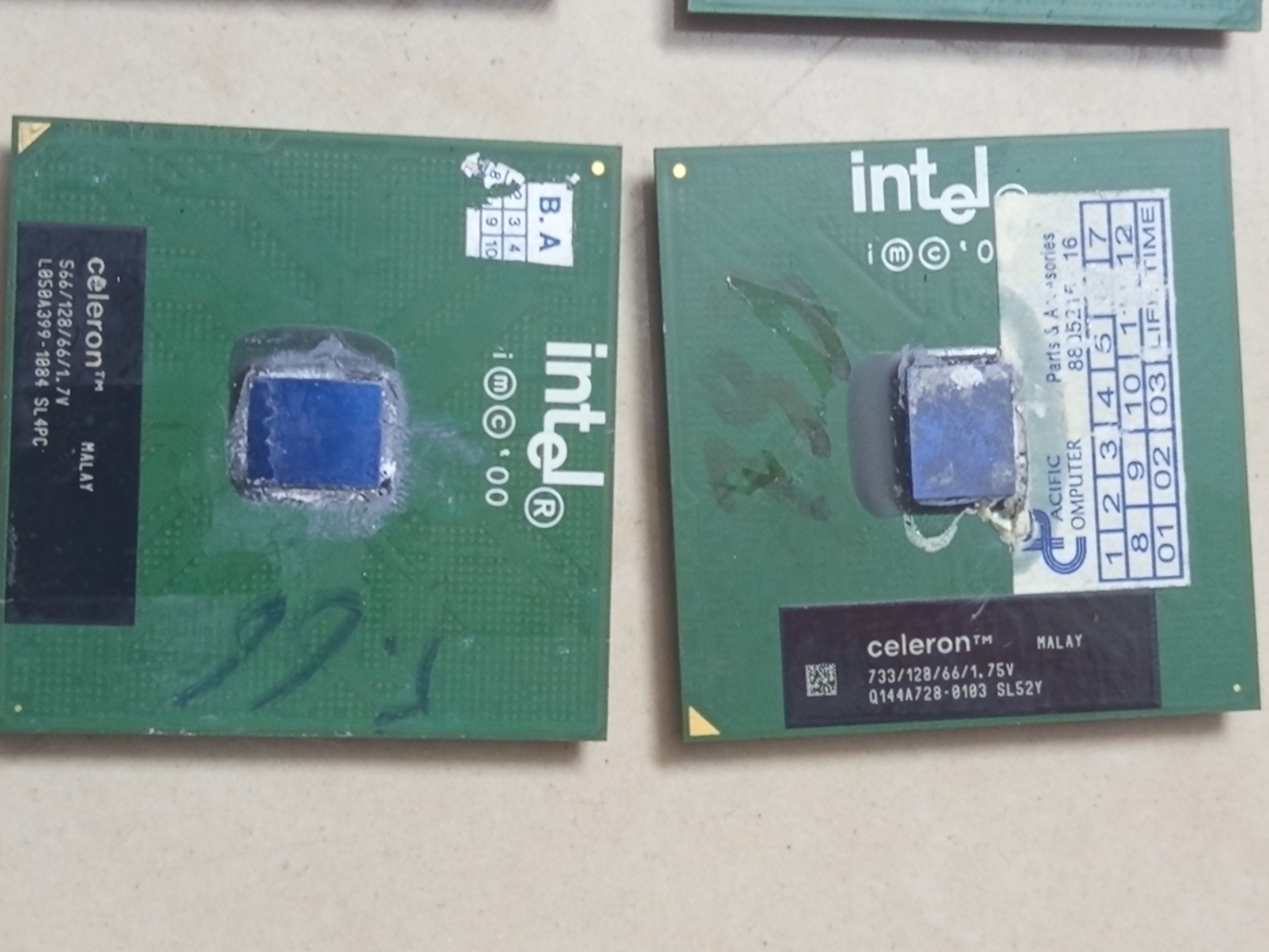 CPU celeron کلکسیونی