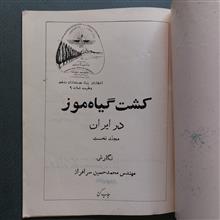 کشت
