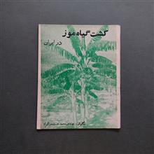 کشت