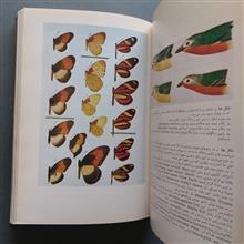 گریز