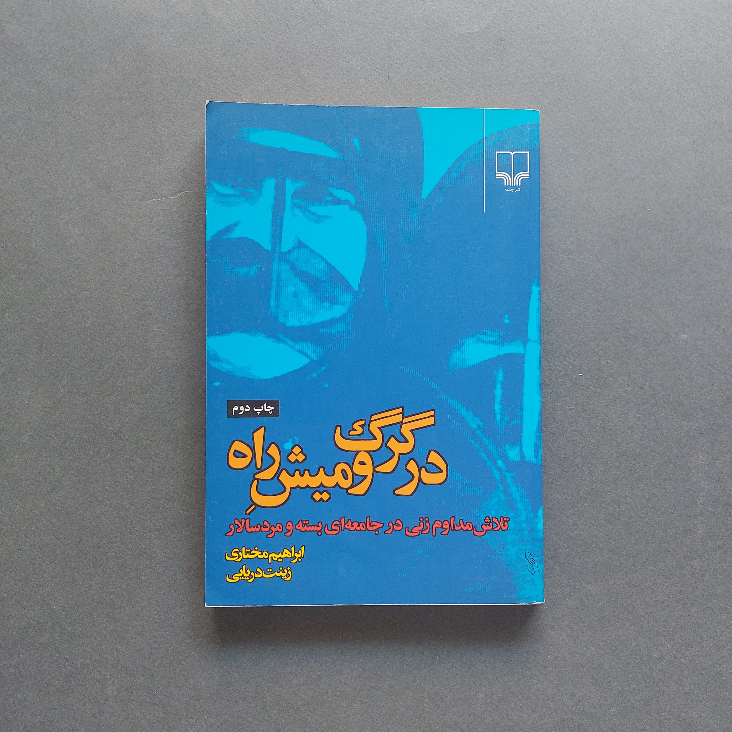 در گرگ و میش راه