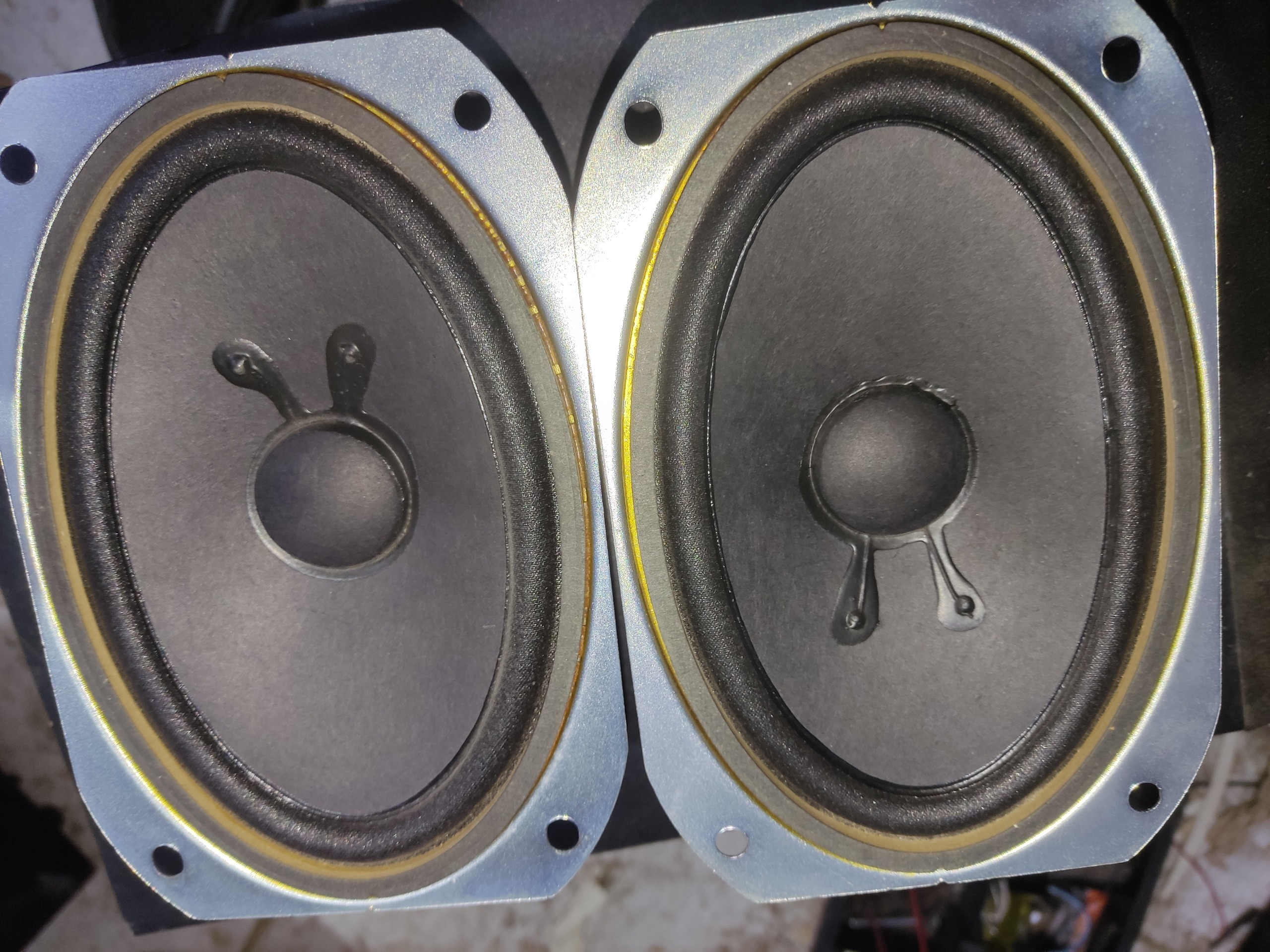 میدرنج بیضی فولرنج