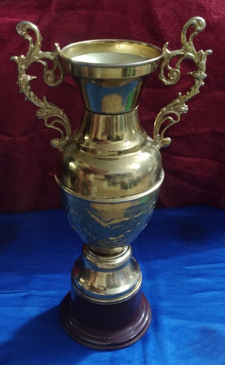 کاپ قهرمانی ورزشی فلزی بسیارزیبا