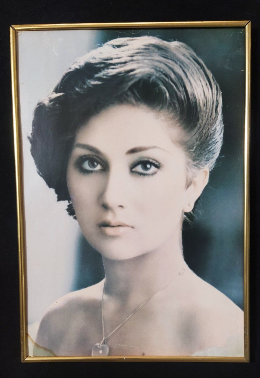 پوسترگوگوش باقاب آلومینومی