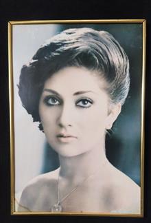 پوسترگوگوش