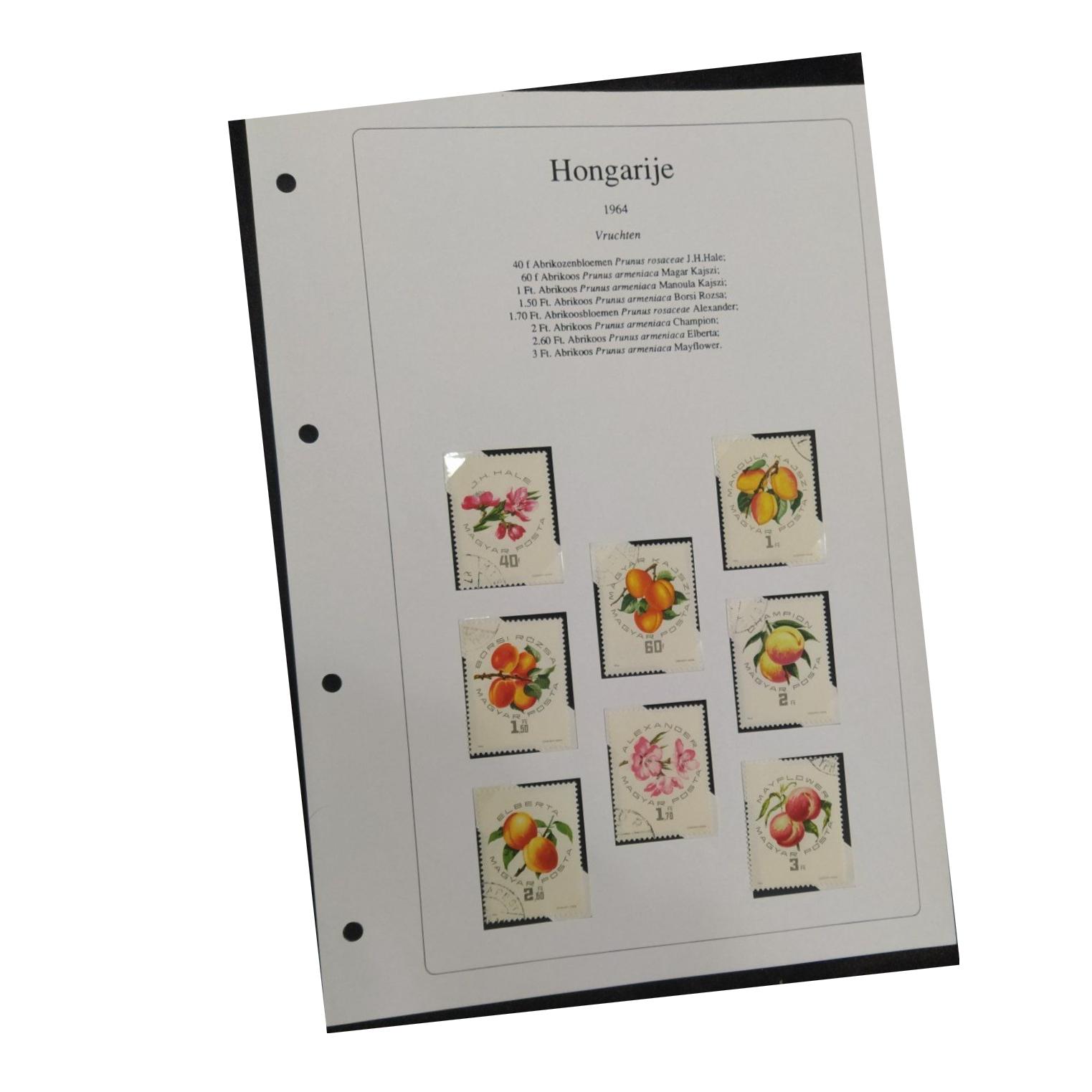 سری8تایی تمبرهای زیبای گل سال1964