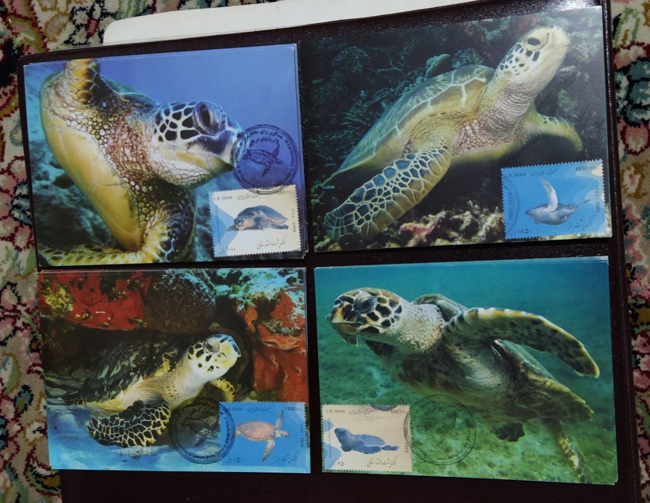 مجموعه 4عددی. لاک پشت مهرروزشده