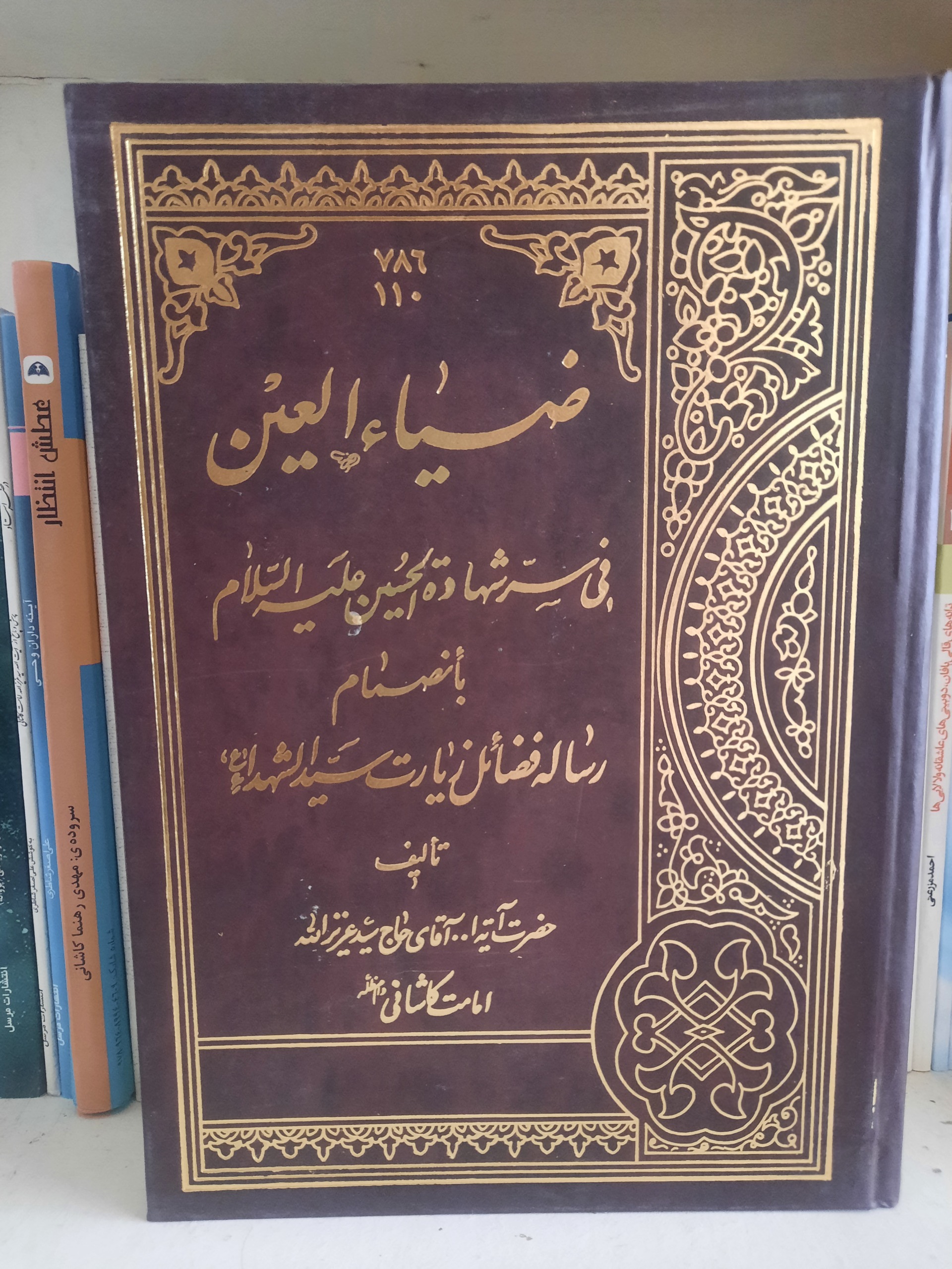 ضیاءالعین فی سر شهادت الحسین ع،امامت کاشانی