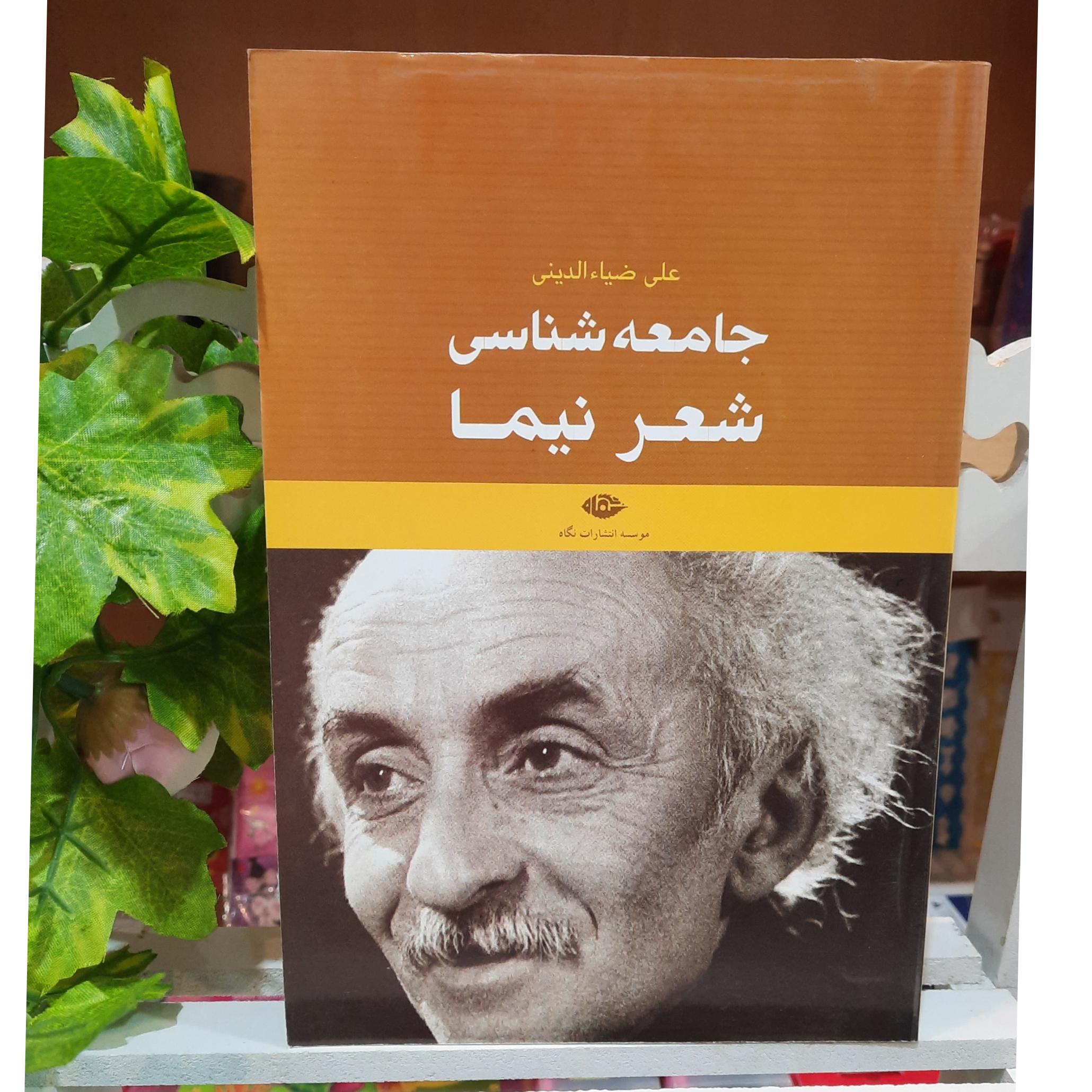 جامعه شناسی شعر نیما