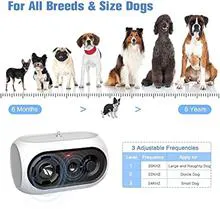 التراسونیک