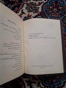 انسان