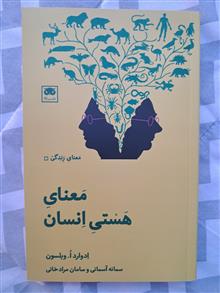 معنای