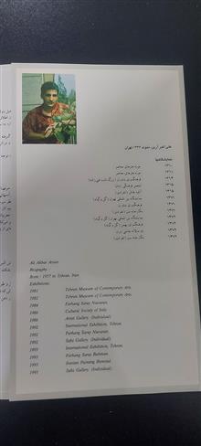 گزیده