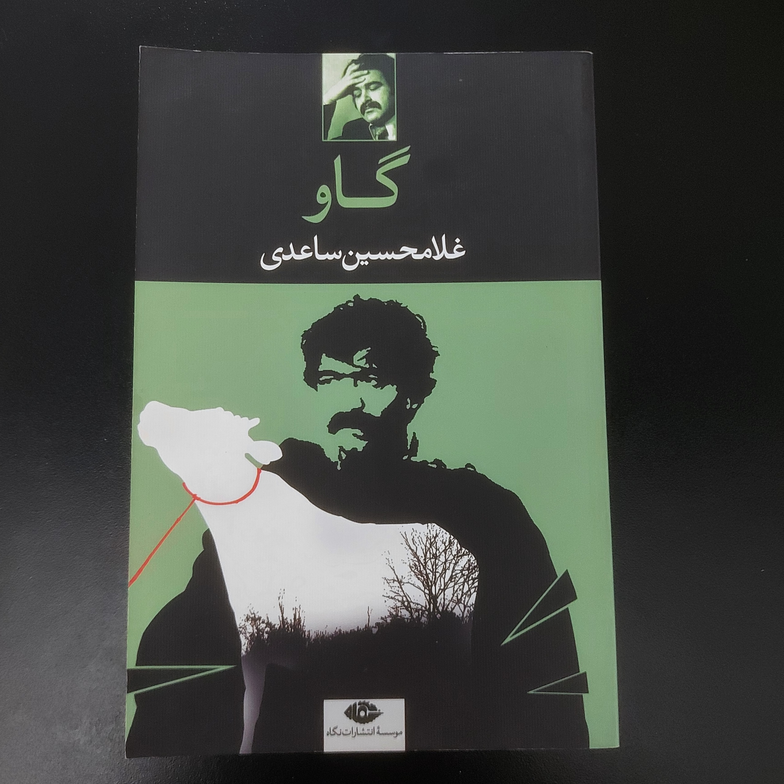 گاو (غلامحسین ساعدی،فیلنامه،مصور)