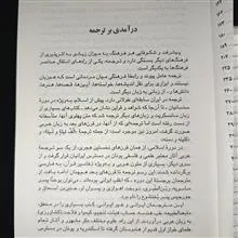فن