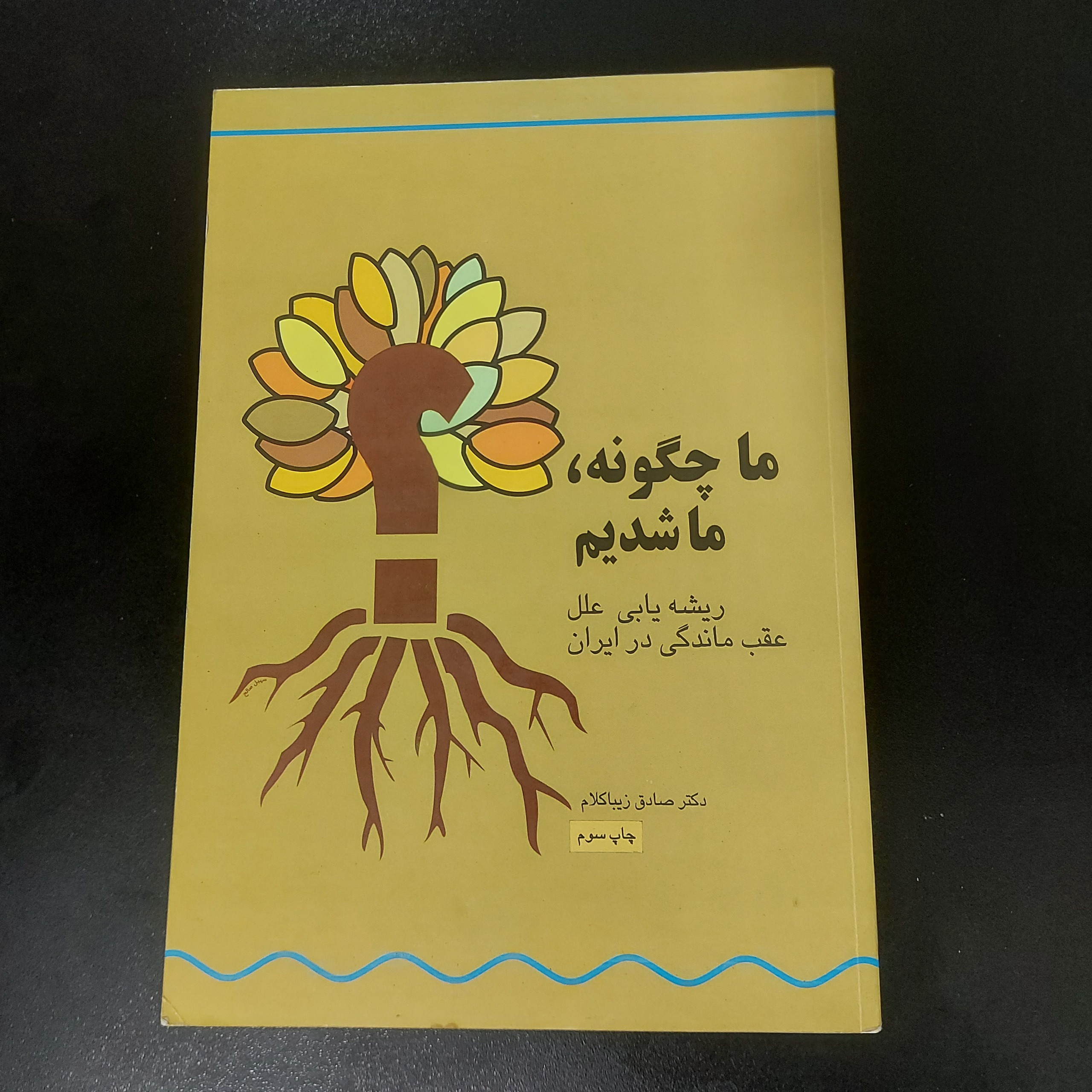 ما چگونه ما شدیم (صادق زیباکلام)