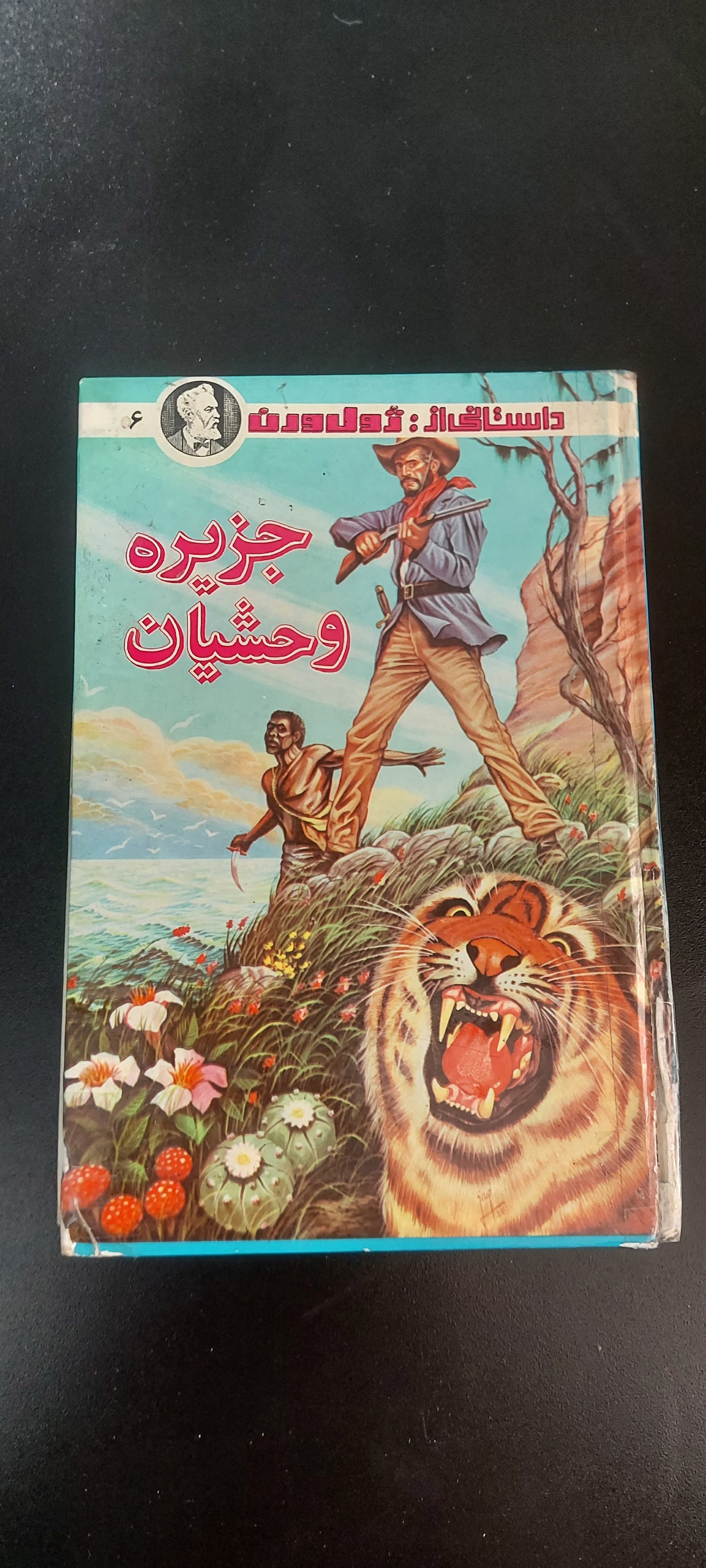 جزیره وحشیان (ژول ورن،توضیحات دارد)