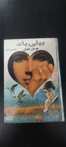 بیلی