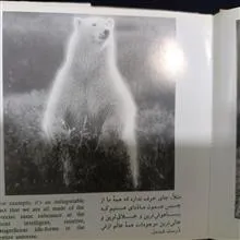 زندگی