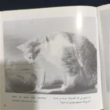 زندگی