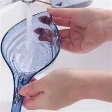 جاصابونی