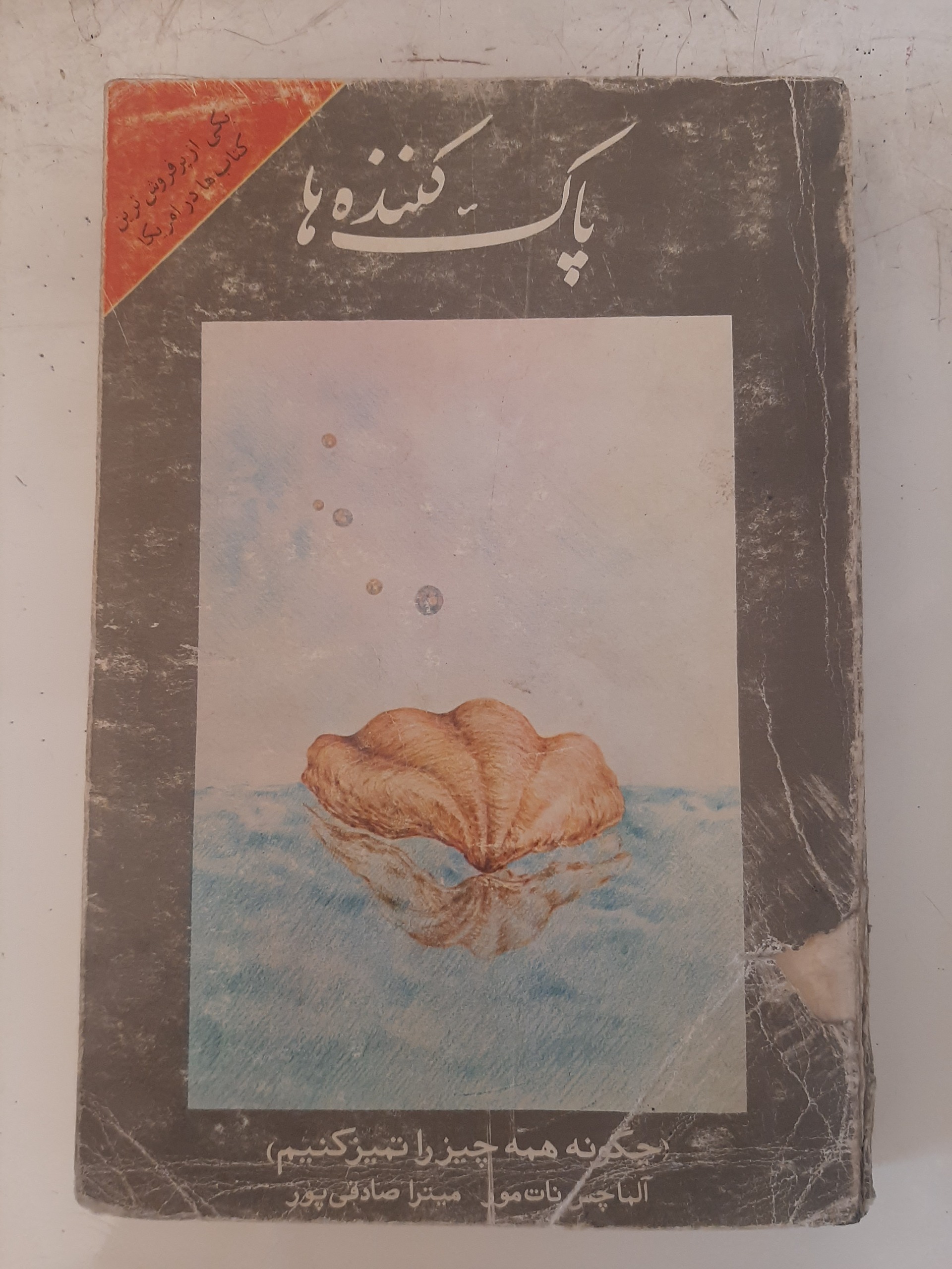- پاک کننده ها - چگونه همه چیز را تمیز کنیم