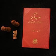 راهنمای
