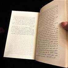 کاتالینا