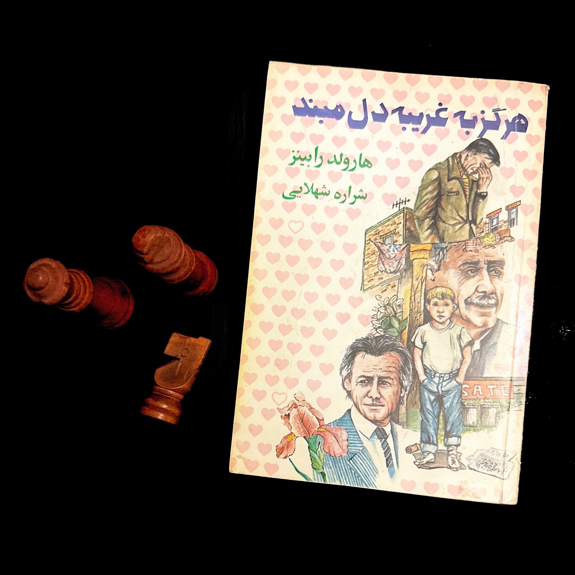 هرگز به غریبه دل مبند - هارولد رابینز