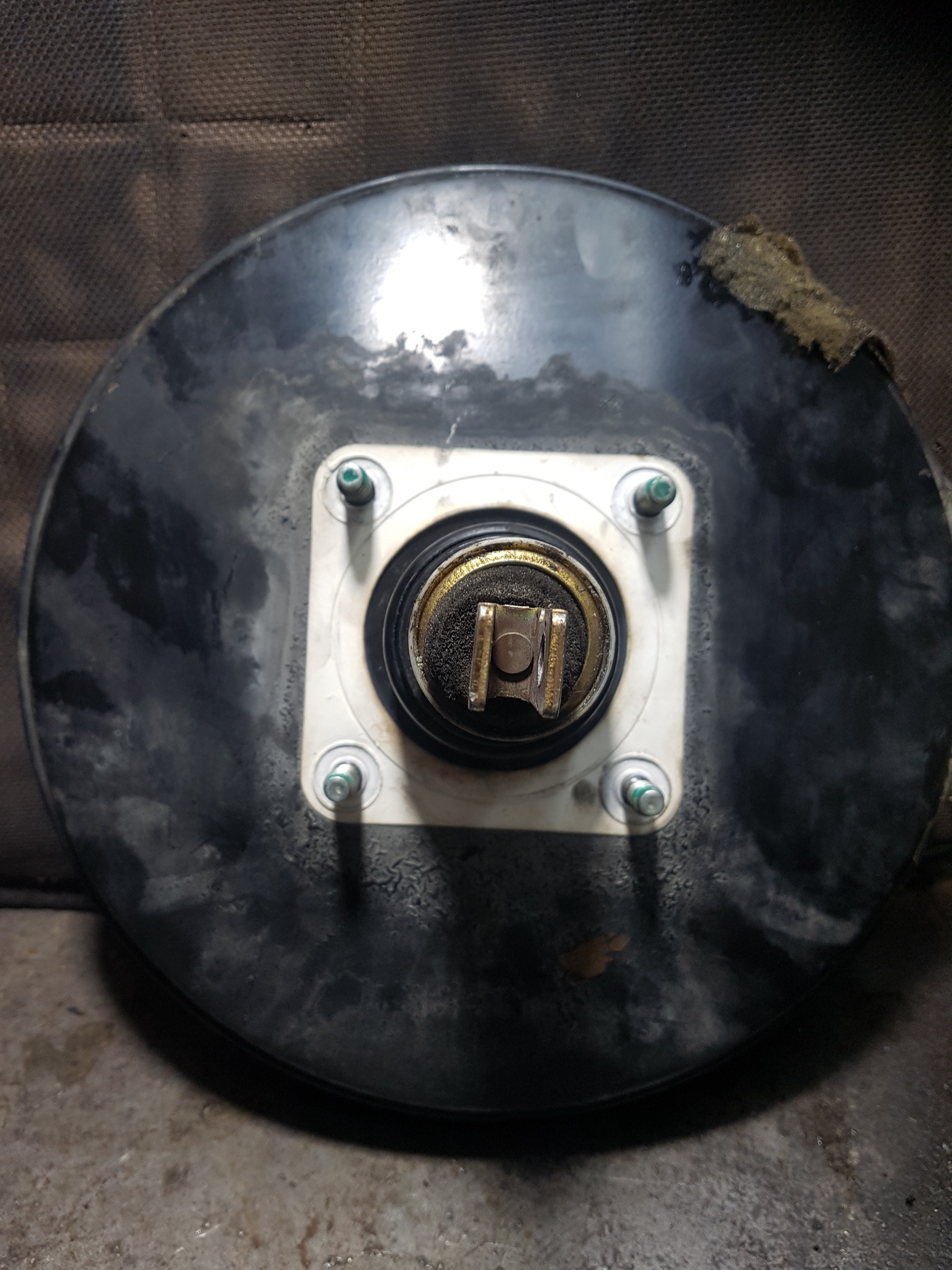 بوسترترمز 10 اینچ