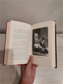 گوژپشت