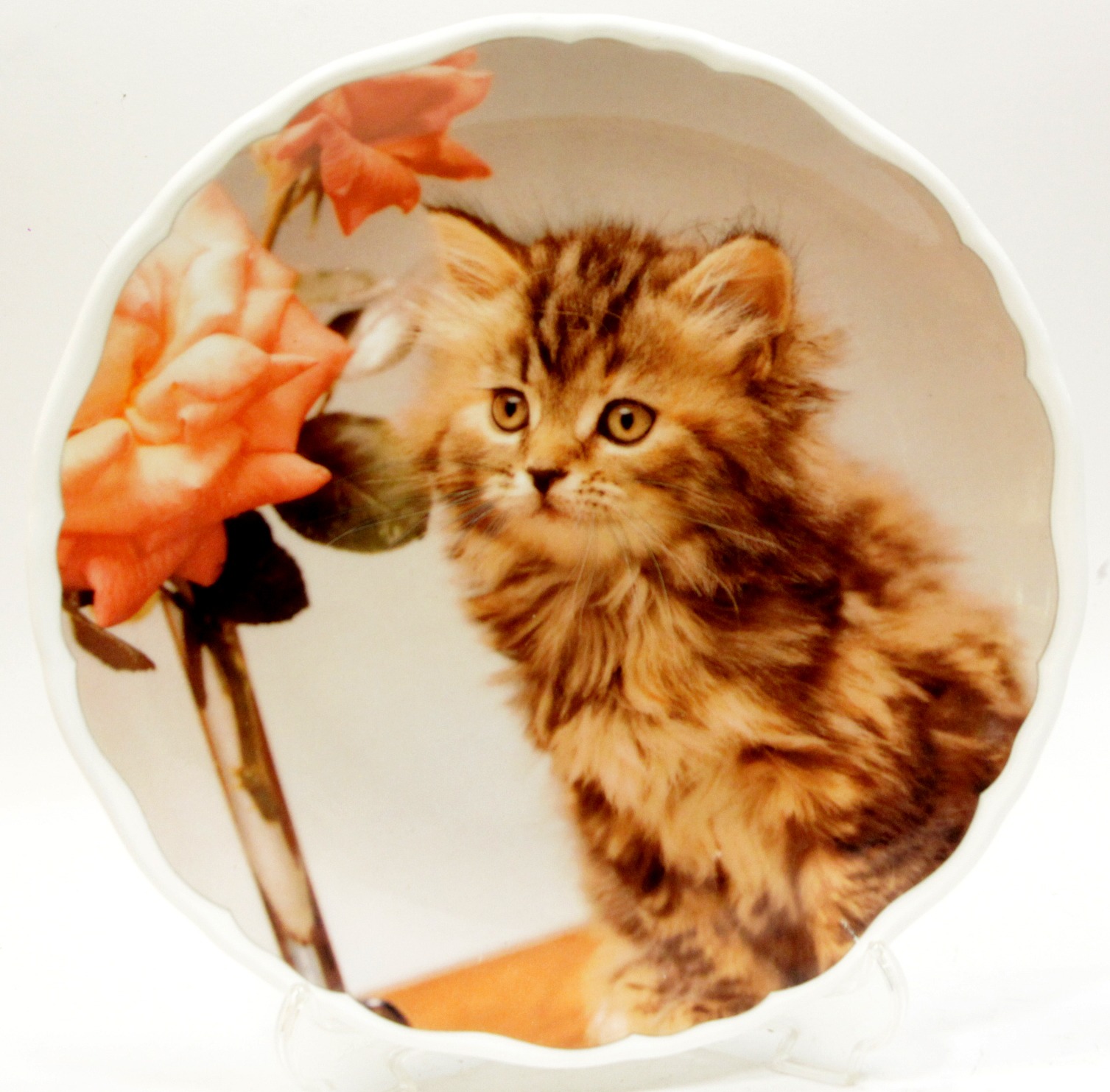 دیوارکوب انگلیسی  زیبای گربه قدیمی