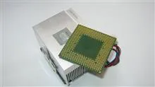 AMD
