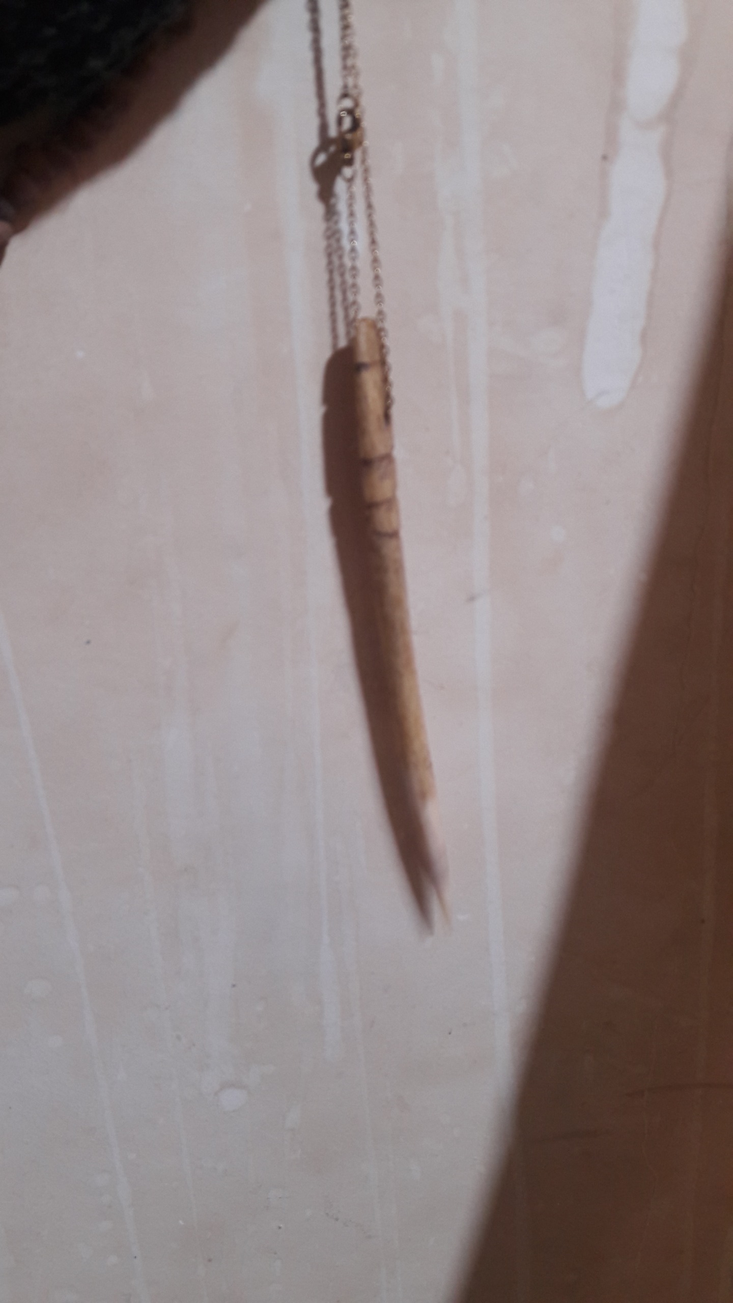 یک پلاک جنسش شاخ