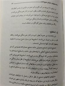 مجموعه