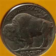 سکه