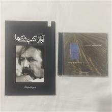 موسیقی